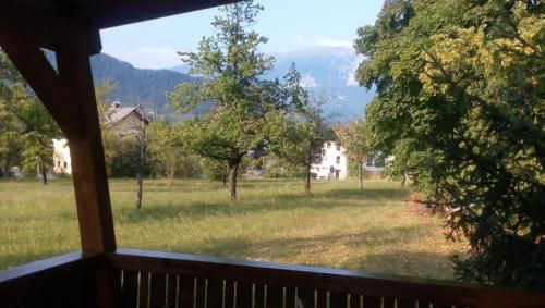 Outdoor Pictures 24