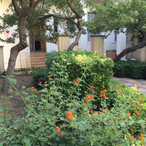 Outdoor Pictures 8
