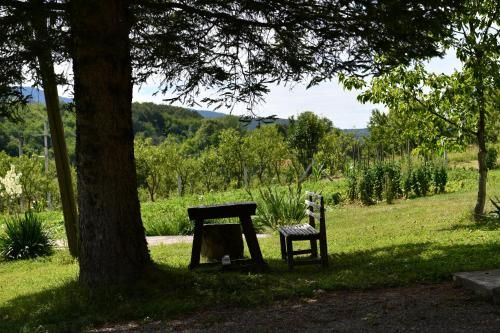 Outdoor Pictures 24