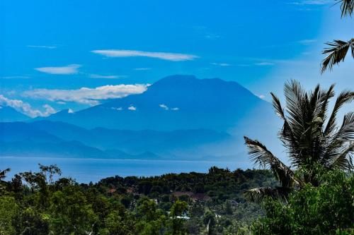 Mount Sea View Bungalow