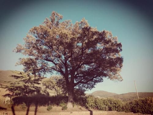 Outdoor Pictures 2