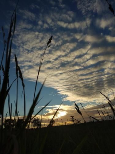 Outdoor Pictures 7
