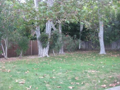 Outdoor Pictures 5