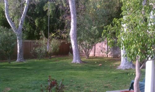 Outdoor Pictures 24
