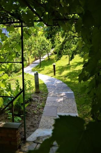 Outdoor Pictures 4