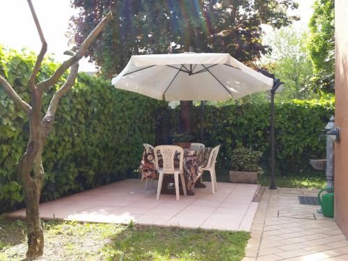 Outdoor Pictures 10