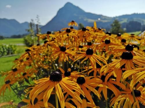 Outdoor Pictures 13