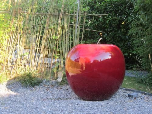 Outdoor Pictures 5