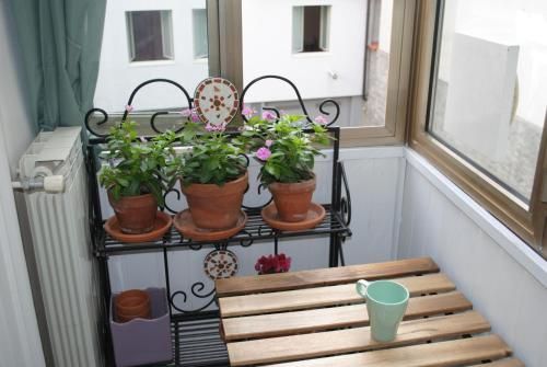 Outdoor Pictures 9