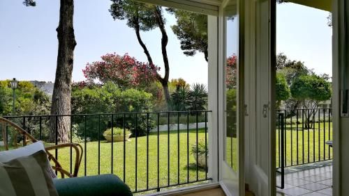 Outdoor Pictures 24