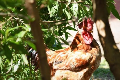 Outdoor Pictures 14