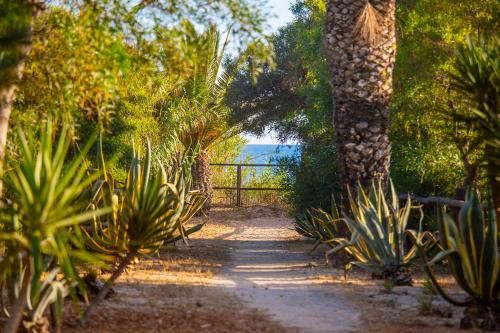 Outdoor Pictures 22