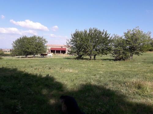 Outdoor Pictures 18