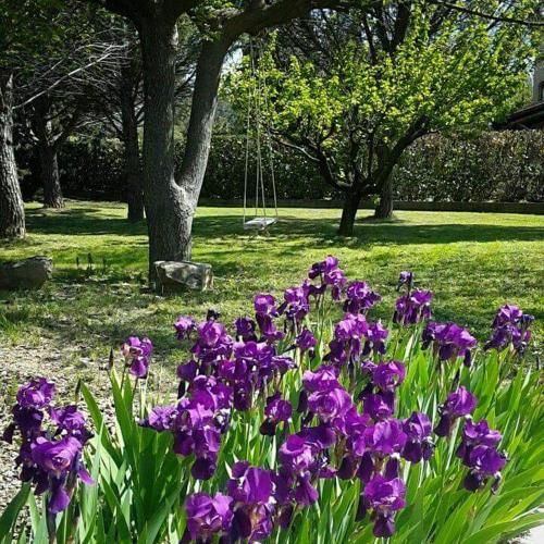 Outdoor Pictures 6