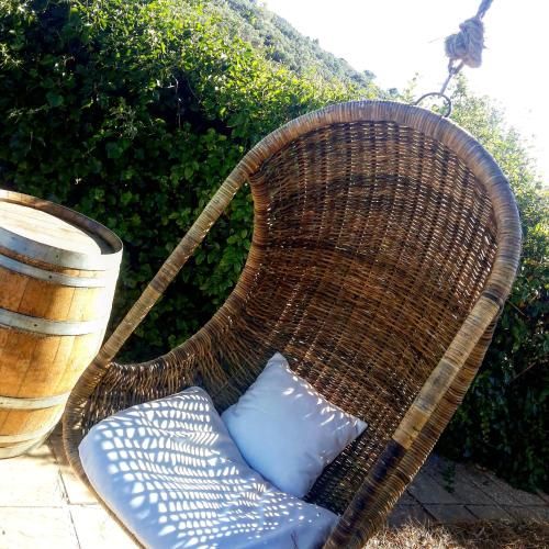 Outdoor Pictures 7