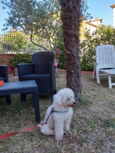 Outdoor Pictures 15