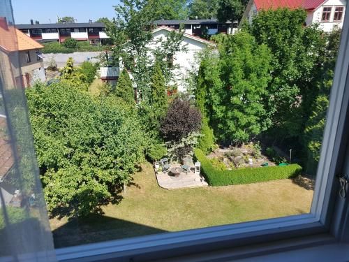Outdoor Pictures 11