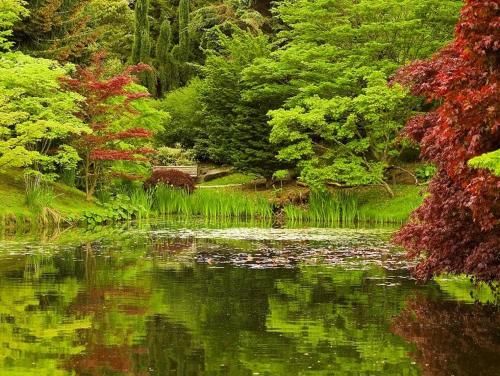 Outdoor Pictures 15