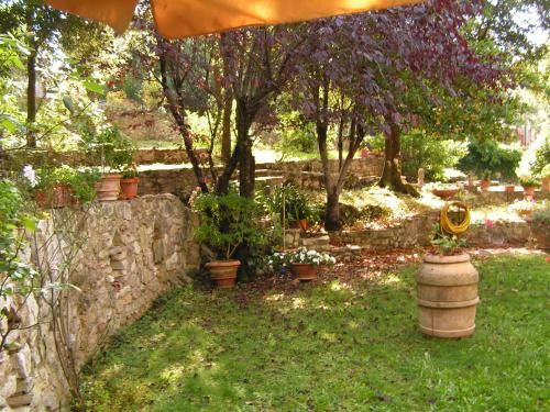 Outdoor Pictures 10