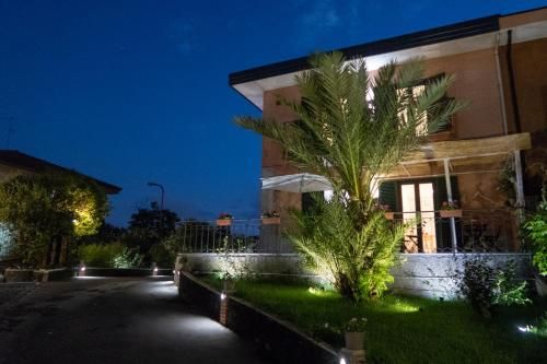 Outdoor Pictures 1