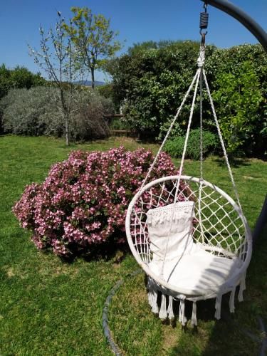 Outdoor Pictures 15