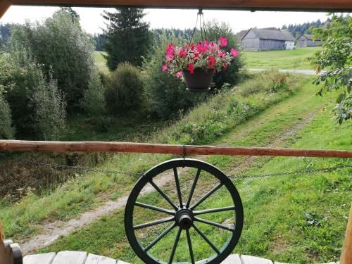 Outdoor Pictures 12