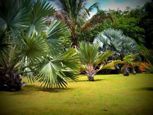 Outdoor Pictures 12