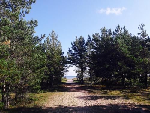 Outdoor Pictures 14