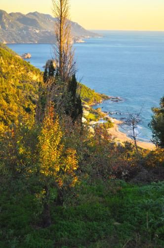 Outdoor Pictures 22