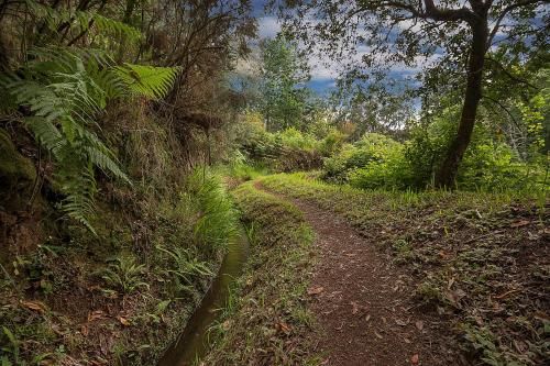 Outdoor Pictures 21