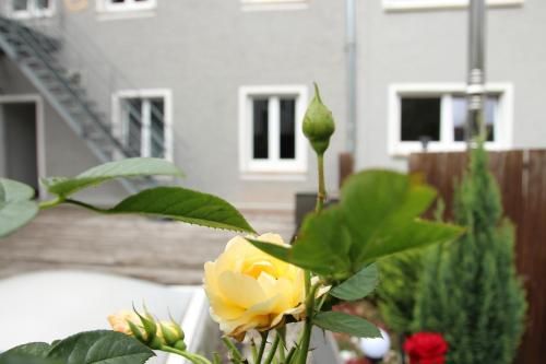 Outdoor Pictures 14