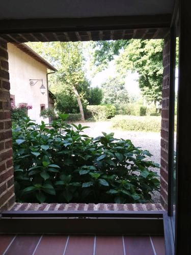 Outdoor Pictures 10
