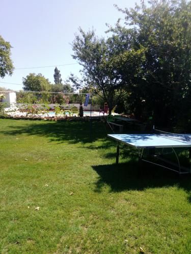 Outdoor Pictures 16