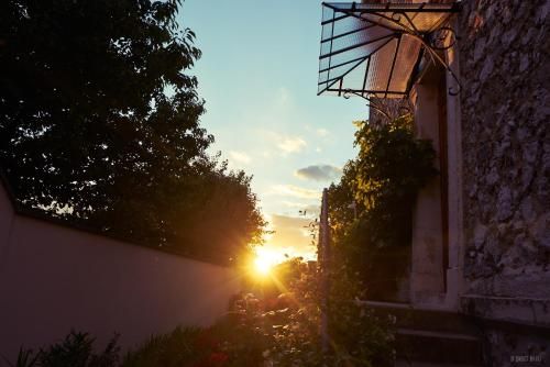 Outdoor Pictures 9