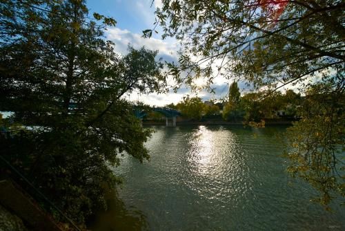 Outdoor Pictures 10
