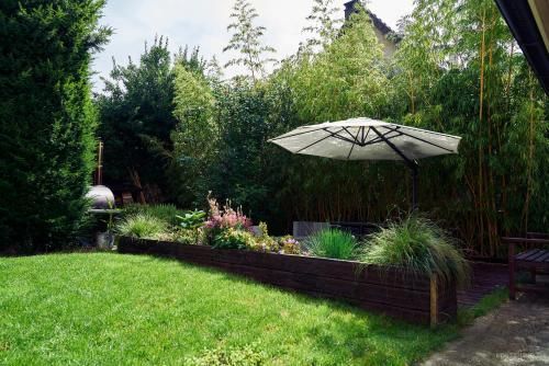 Outdoor Pictures 11