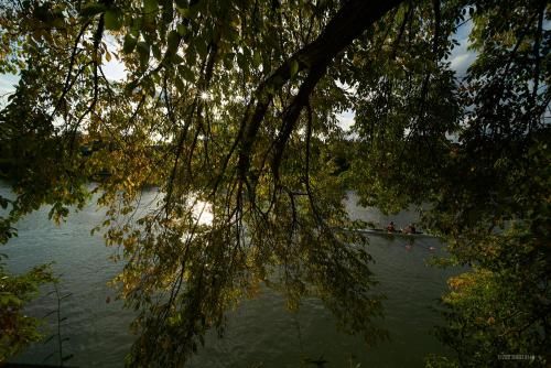 Outdoor Pictures 12