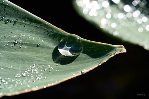 Outdoor Pictures 13