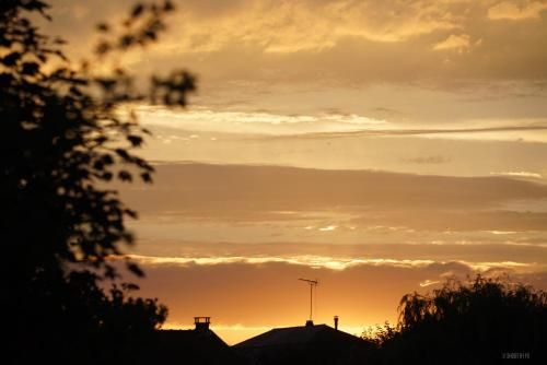 Outdoor Pictures 15