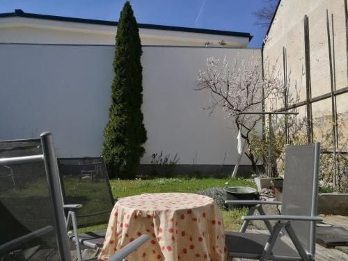 Outdoor Pictures 9