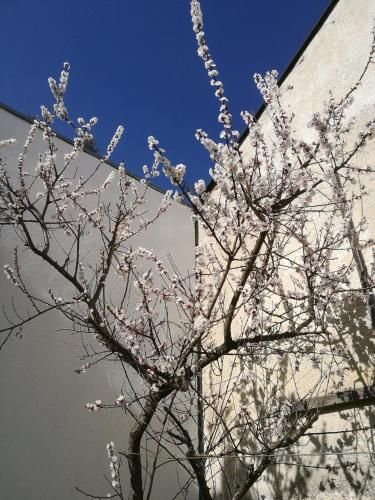 Outdoor Pictures 13