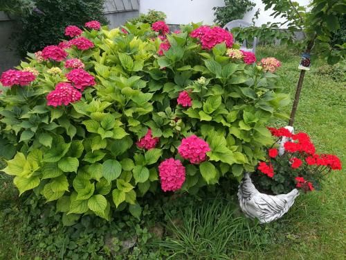 Outdoor Pictures 16