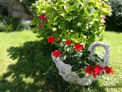Outdoor Pictures 20