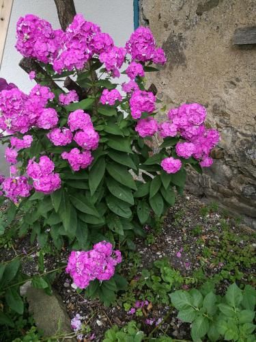 Outdoor Pictures 23