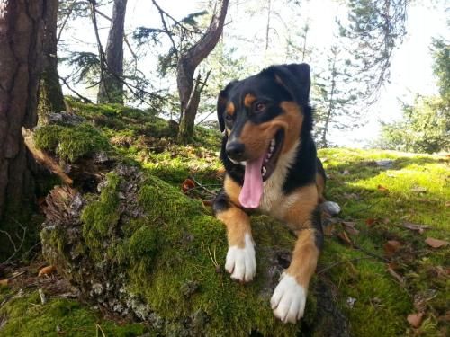 Outdoor Pictures 9