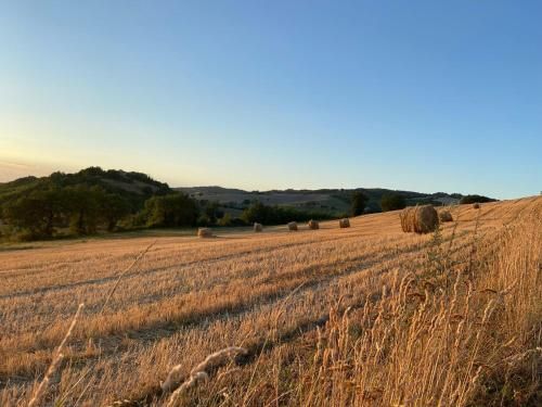 Outdoor Pictures 9