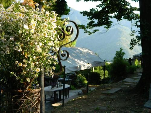 Outdoor Pictures 19