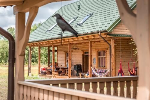 Outdoor Pictures 9