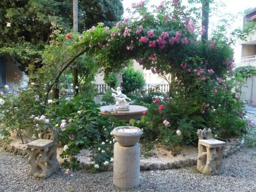 Outdoor Pictures 6