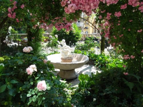 Outdoor Pictures 7